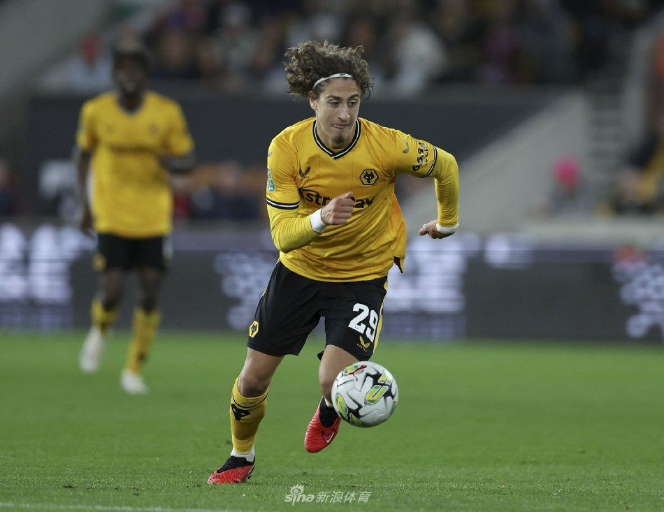 部对阿德利 部对阿德利